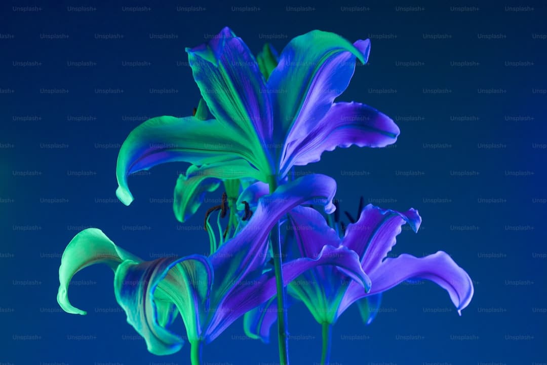 https://img0.utuku.imgcdc.com/650x0/news/20250807/59371e04-87ed-414e-a305-f11db5d468b9.jpg